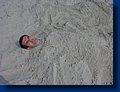 My Head in the Sand!.jpg
