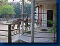 Guangzhou Zoo.jpg